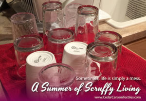 Scruffy-Living-FB